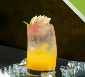 لیوان پاشاباغچه شیشه ای مدل پنگوئن