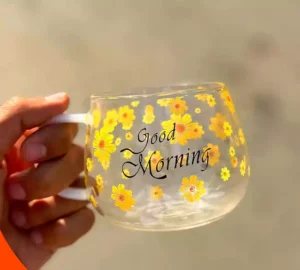 فروش عمده ماگ پیرکس 6 عددی گلدار GOOD MORNING