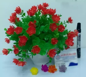 فروش عمده گلدان شمشاد سرگل مرداب